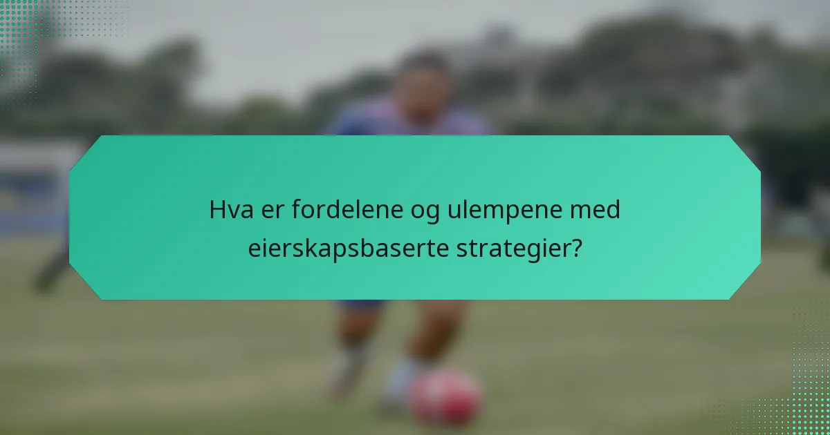 Hva er fordelene og ulempene med eierskapsbaserte strategier?